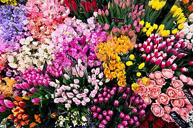 《黑暗之魂3》超大型MOD“远古王座”发布试玩版